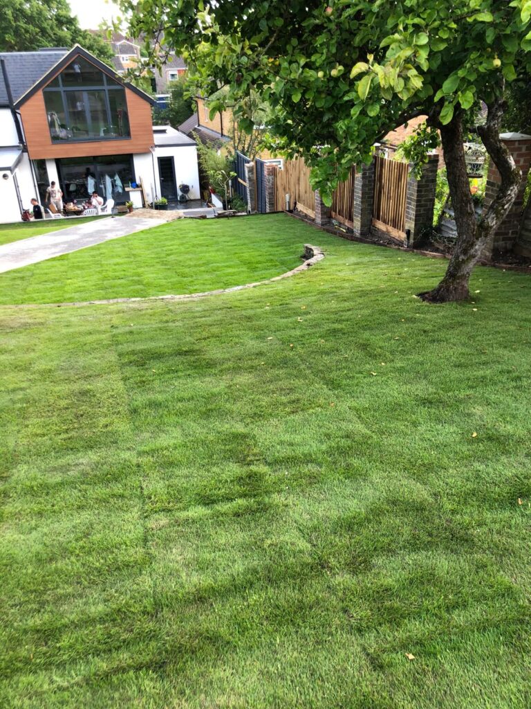 Paving & Landscaping